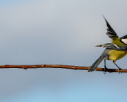 IMG_0143_LR