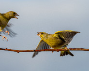IMG_0155 (2)_LR