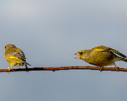 IMG_0160_LR