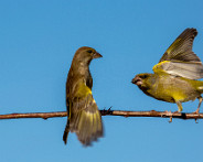 IMG_0169_LR