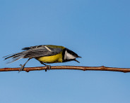 IMG_0244_LR