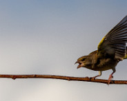 IMG_0261_LR