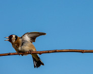 IMG_0272_LR