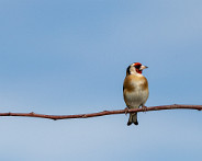 IMG_5457_LR