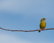IMG_5536_LR