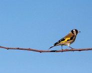 IMG_7200_LR