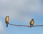 IMG_8043_LR