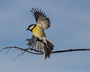IMG_4898_LR