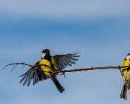 IMG_5010_LR