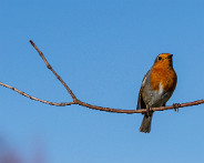 IMG_6632_LR