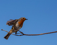 IMG_8500_LR