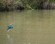 DSC02990_LR