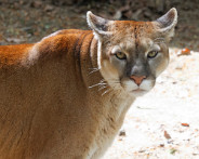 IMG_8274_DxO