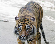 IMG_8326_DxO