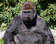 IMG_8376_DxO