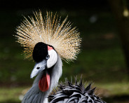 IMG_8890_DxO