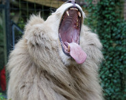 IMG_9160_DxO