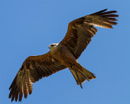 IMG_7818_LR