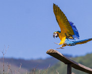 IMG_8004_LR