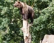 IMG_7265_LR