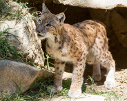 IMG_7585_LR