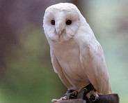 IMG_3112_LR