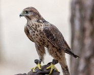 IMG_3202_LR