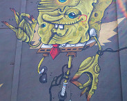 IMG_6351_LR