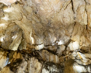 IMG_2866_LR
