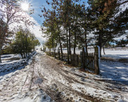 IMG_8081_LR