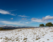 IMG_8230_LR