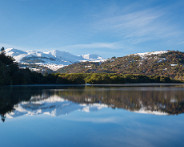 IMG_8341_LR