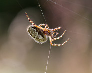 IMG_1840_LR