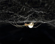 IMG_2544__DPP