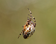 IMG_7414_DxO