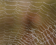 IMG_7624_DxO