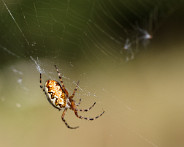 IMG_7661_DxO