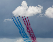 IMG_6005_LR