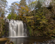 IMG_4493_LR
