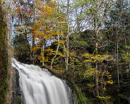 IMG_4520_LR
