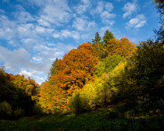 IMG_4581-HDR_LR