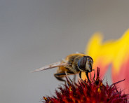 IMG_3988_LR