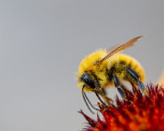 IMG_3993_LR