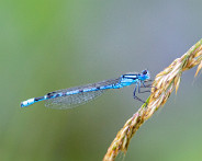 IMG_4279_LR