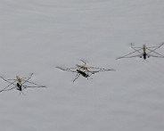 IMG_4288_LR