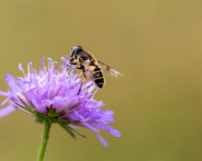 IMG_4319_LR