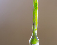 IMG_4747_LR