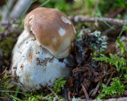 IMG_4955_LR