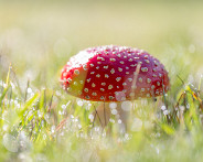 IMG_5033_LR
