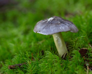IMG_5058_LR